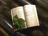 明治のワインと教科書。